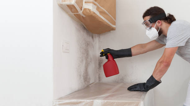 Professional Mold Inspection And Testing technician working in Riverton, IL